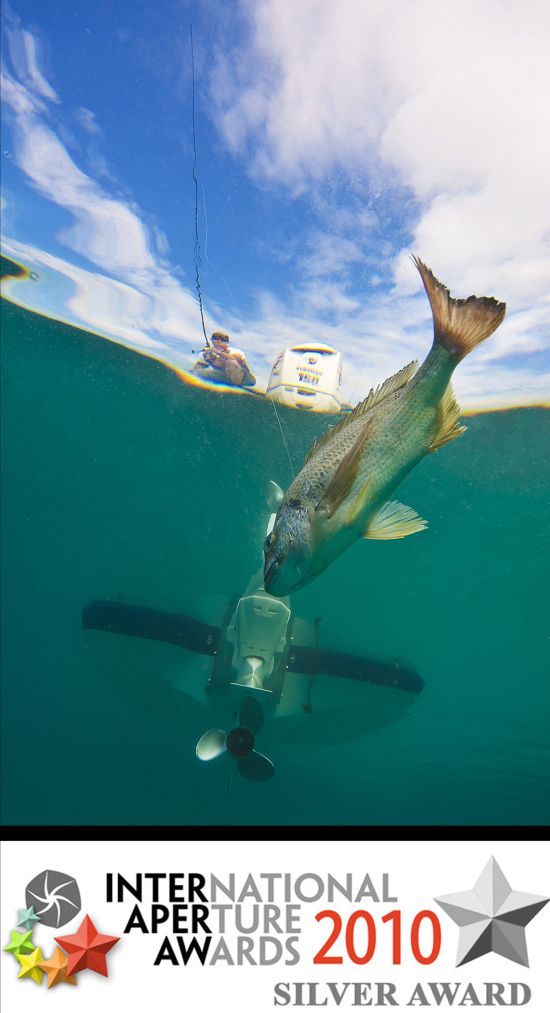 Fisho photographer wins prestigious award